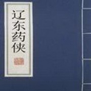 评书辽东药侠