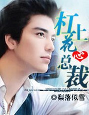 杠上花心酷总裁