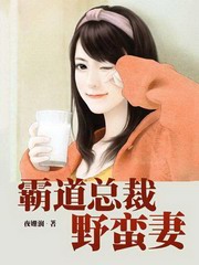 霸道总裁野蛮妻