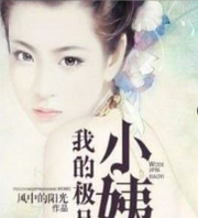 我的极品小姨