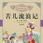 苦儿流浪记