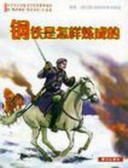 钢铁是怎样炼成的