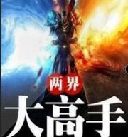 两界大高手