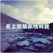 无上超脑系统科技