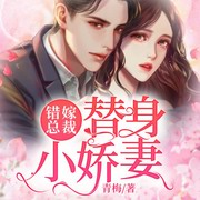 错嫁总裁：替身小娇妻