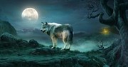 嗥夜