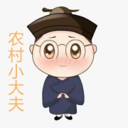 农村小大夫