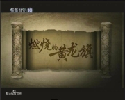 燃烧的黄龙旗：淮军的兴衰
