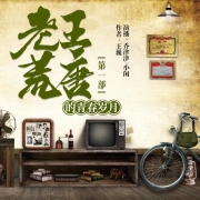 老王荒唐的青春岁月